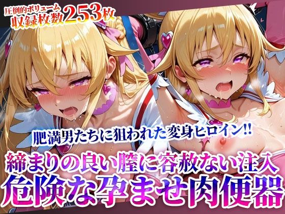変身ヒロインの締まりの良い膣に容赦なく注入する男たち 〜妹系の魔法少女は鬼畜たちの孕ませ肉便器となってゆく〜