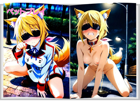 美少女宅配便 〜届いた美少女を壊れるまで犯し尽くす〜 シ◯ルロット・デュノア 編 - サンプル画像 5