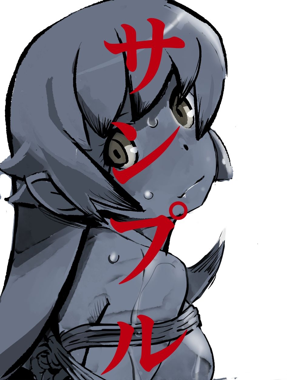 化物語ヒロイン  SM緊縛画集 - サンプル画像 6