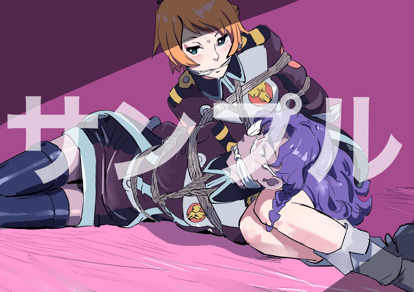 マクロスフロンティア  ヒロイン  SM緊縛画集 - サンプル画像 7