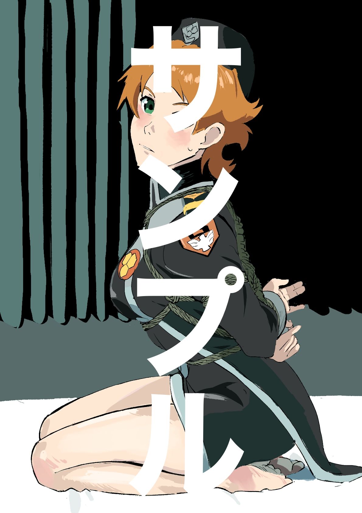 マクロスフロンティア  ヒロイン  SM緊縛画集 - サンプル画像 8