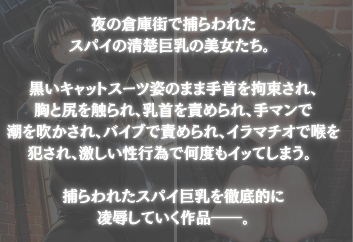 スパイ巨乳を捕らえて黒いキャットスーツのまま犯した話 Vol.1 - サンプル画像 1