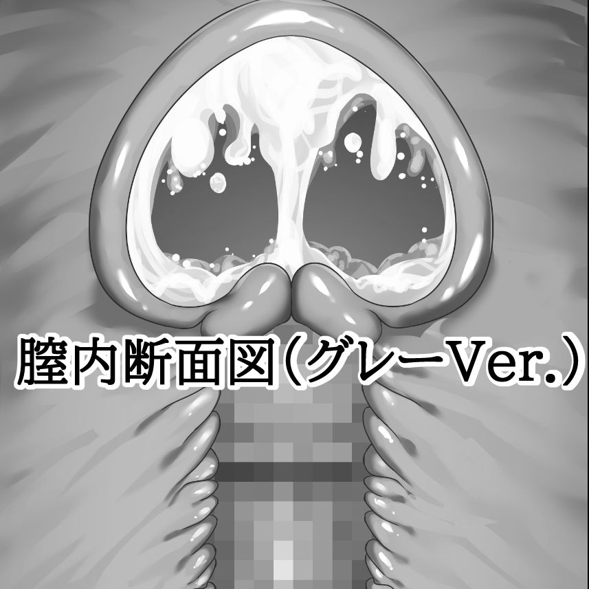 膣内断面図素材（グレーVer.） - サンプル画像 1