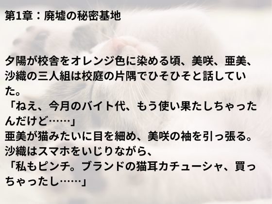 猫耳メイド、ご奉仕はじめました？ - サンプル画像 7
