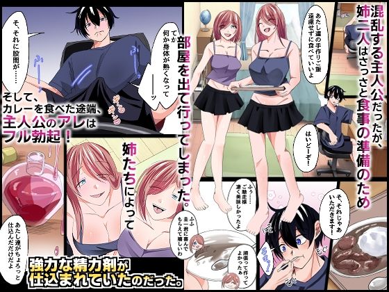 ブラコンのお姉ちゃんたちと。双子の姉たちが大事に取っておいた処女を貰って欲しいと誘惑してくる最高の夏休み！ - サンプル画像 2