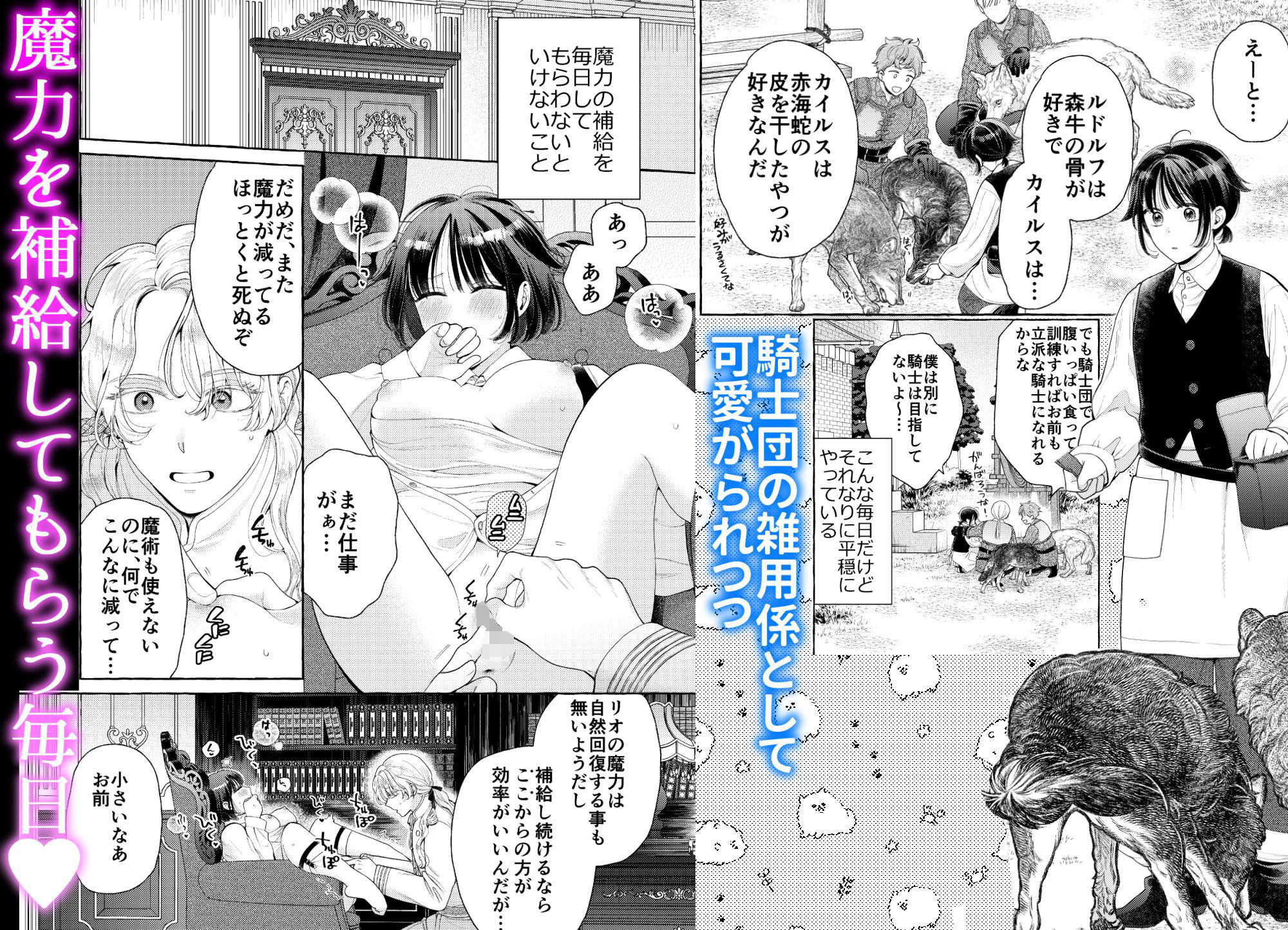 騎士団のわんわん - サンプル画像 2
