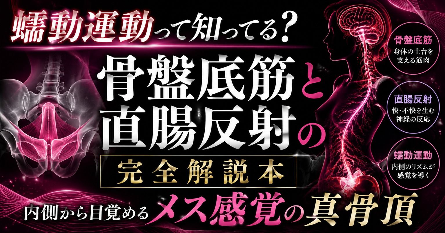 （はーと）メスイキが起きる瞬間（はーと）に発動する  エネマ・アネロスがアナルの中で 勝手に動き出す蠕動運動の起こし方 （はーと）徹底解説（はーと） - サンプル画像 1