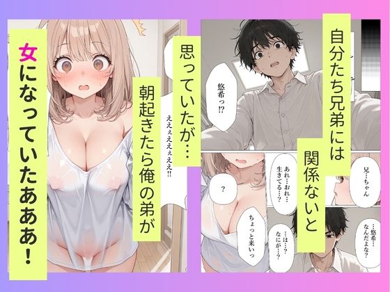 弟が突然妹になったので責任もって中出しセックスして嫁にします - サンプル画像 2