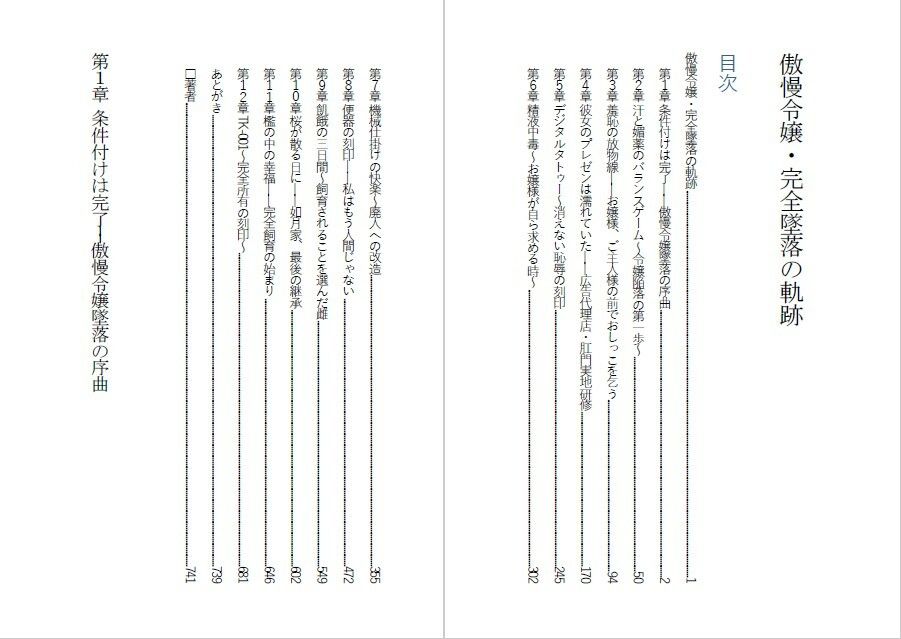 傲慢令嬢を肉便器に変える1ヶ月 - サンプル画像 1
