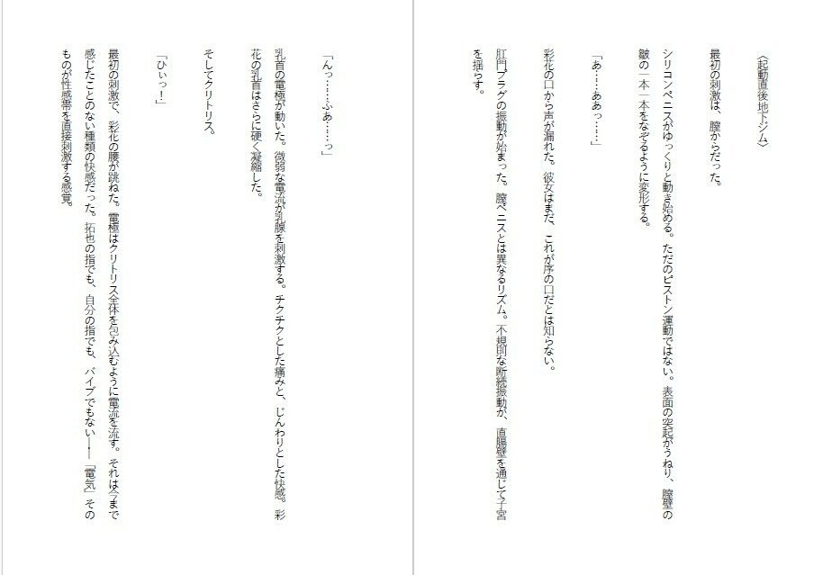 傲慢令嬢を肉便器に変える1ヶ月 - サンプル画像 5