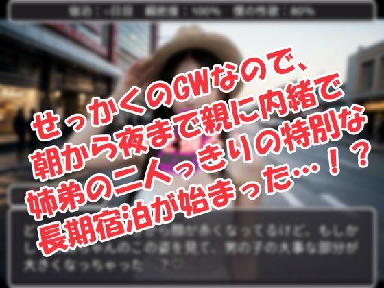 お姉ちゃんと僕のお泊まり体験談！ - サンプル画像 1