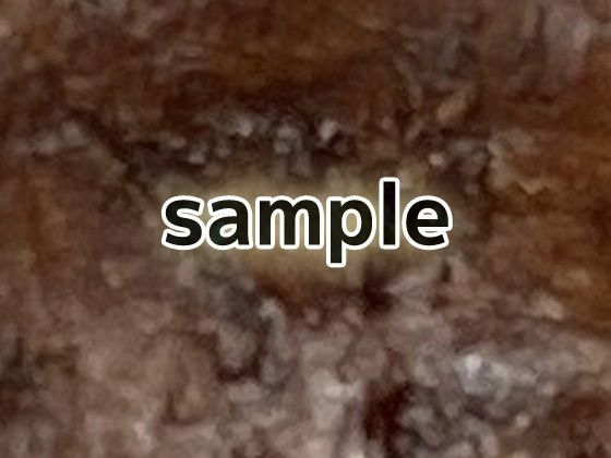 化石のテクスチャ/シームレス画像素材〜商用成人利用OKの著作権フリー - サンプル画像 3