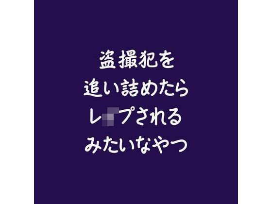 盗撮犯を追い詰めたらレ●プされるみたいなやつ