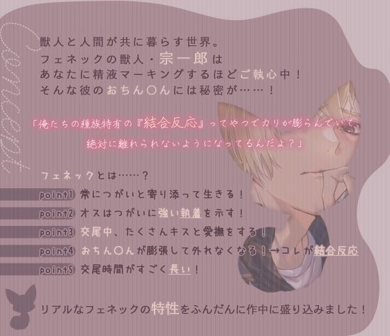 獣人（フェネック）宗くんは初恋を実らせたい！ 〜あまあまちゅっちゅっして大好きエッチが止まらない〜 - サンプル画像 2