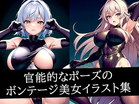 官能的なポーズのボンテージ美女イラスト集