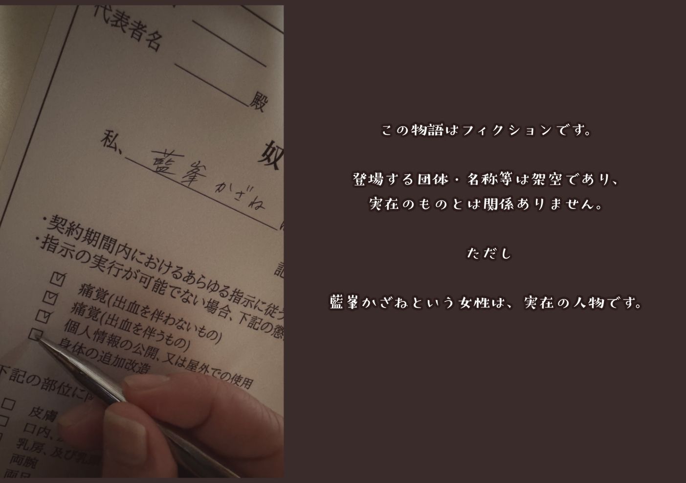 職業:達磨 ジツザイオナホ - サンプル画像 1