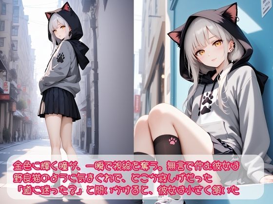 迷い猫 保護してえっち - サンプル画像 1