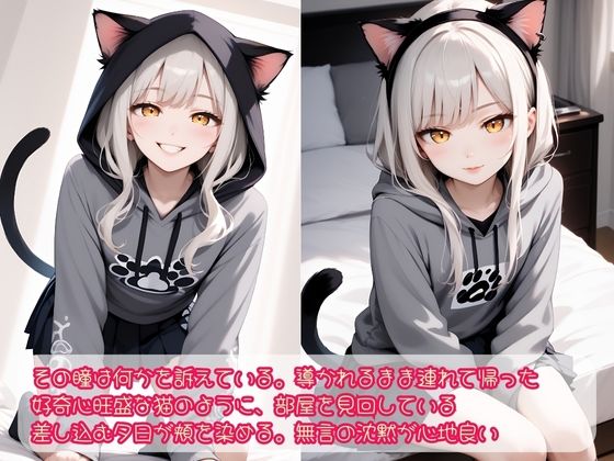 迷い猫 保護してえっち - サンプル画像 2