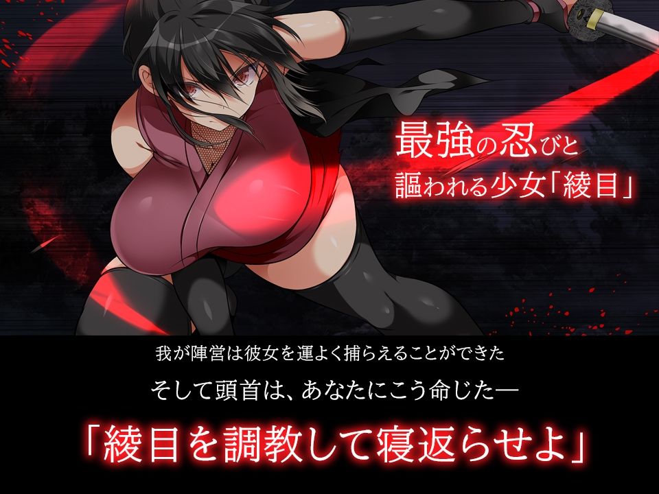 忍堕とし【動画＆コミックCG集版】 - サンプル画像 8