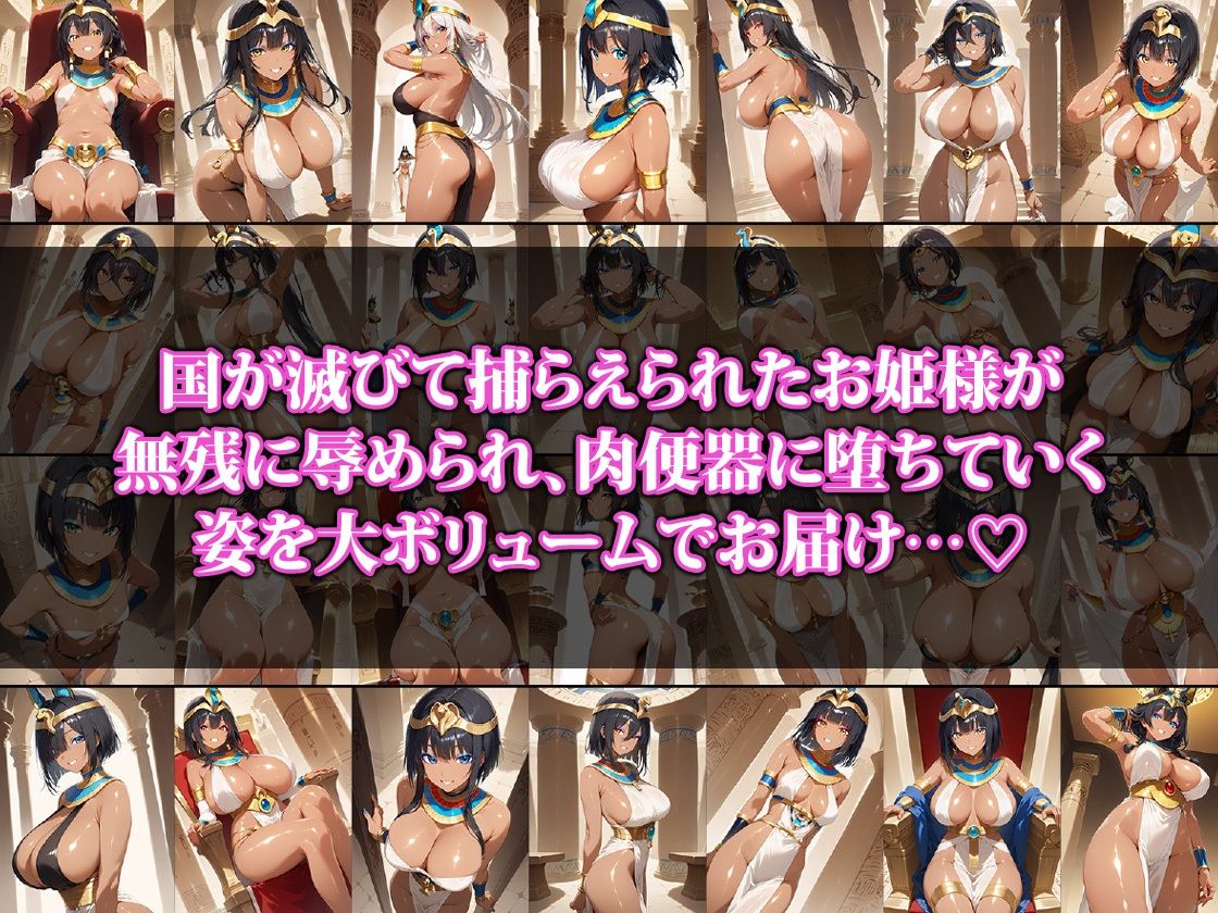 肉便器に堕とされた砂漠の国のお姫様 - サンプル画像 1