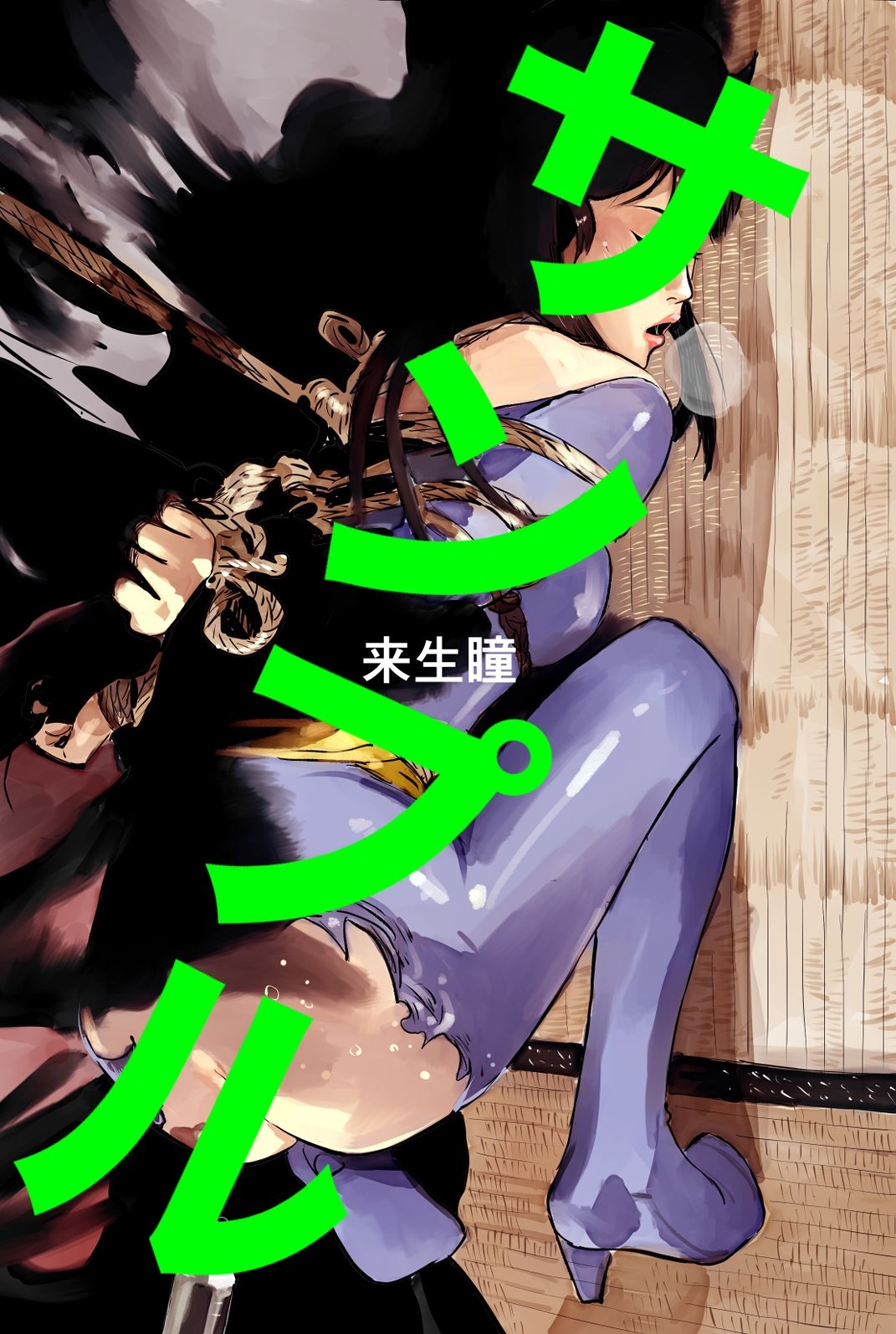 アニメキャラSM緊縛2023〜2024 - サンプル画像 5