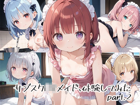 サブスクロリメイド、体験してみたpart.2