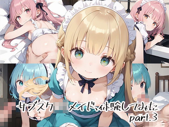 サブスクロリメイド、体験してみたpart.3