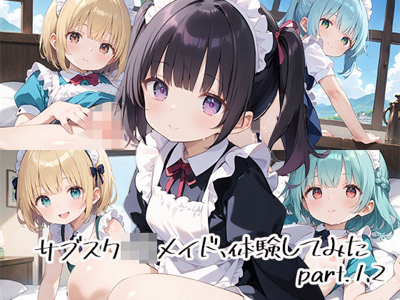 サブスクロリメイド、体験してみたpart.12