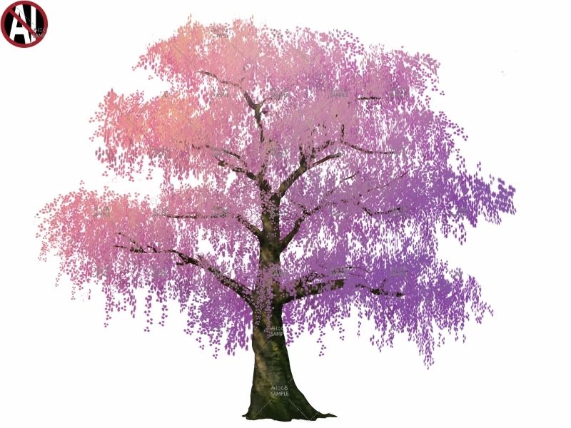 みにくる背景CG素材集『桜の日本庭園』 - サンプル画像 5