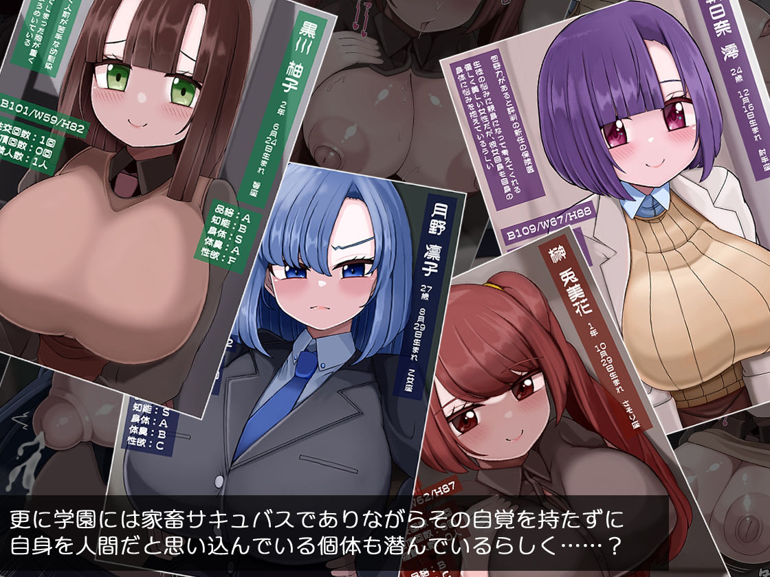 性処理専用家畜サキュバスのいる学園肉便器性活 - サンプル画像 4