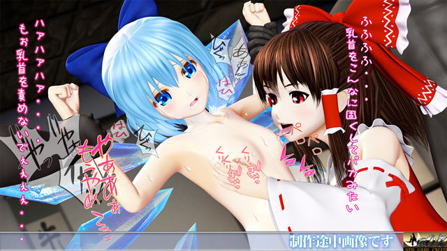 霊夢に監禁拘束された氷精チルノ 〜巫女様のお仕置きは恥辱尋問・絶頂地獄〜 ヒロインピンチMP4動画集vol.1 - サンプル画像 2