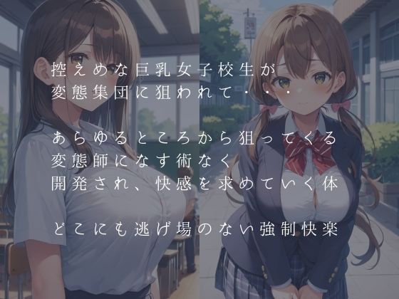 変態集団に狙われた大人しめな巨乳女子校生 - サンプル画像 1