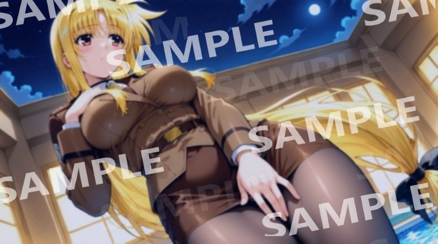 ハラオウン執務官活動記録 1 - サンプル画像 6
