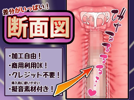 差分がいっぱい！断面図