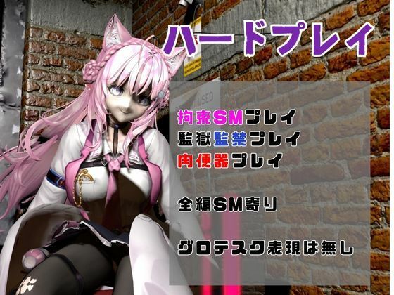 博衣こよりは研究熱心、SMや肉便器のハードプレイも研究しちゃう総集編【動画5本】 - サンプル画像 1