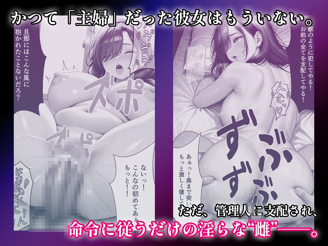 人妻調教マンションNo.2 - サンプル画像 5