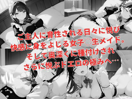 忠実ドエロ欲情女子〇生メイドに種付けH - サンプル画像 5
