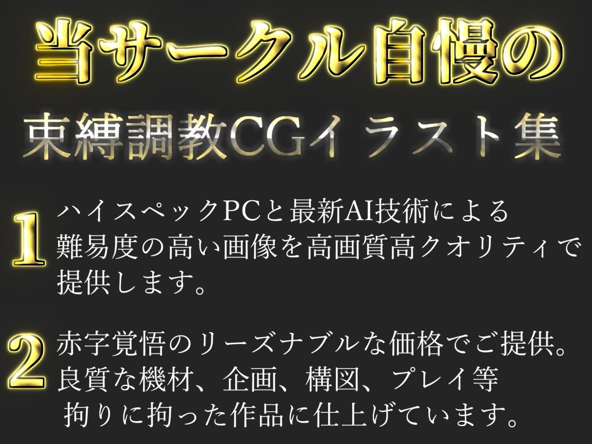 【新作価格】【豪華特典あり】つるぺたロリメイド種付け調教 ボテ腹危険日中出しSM集【500個】 - サンプル画像 1