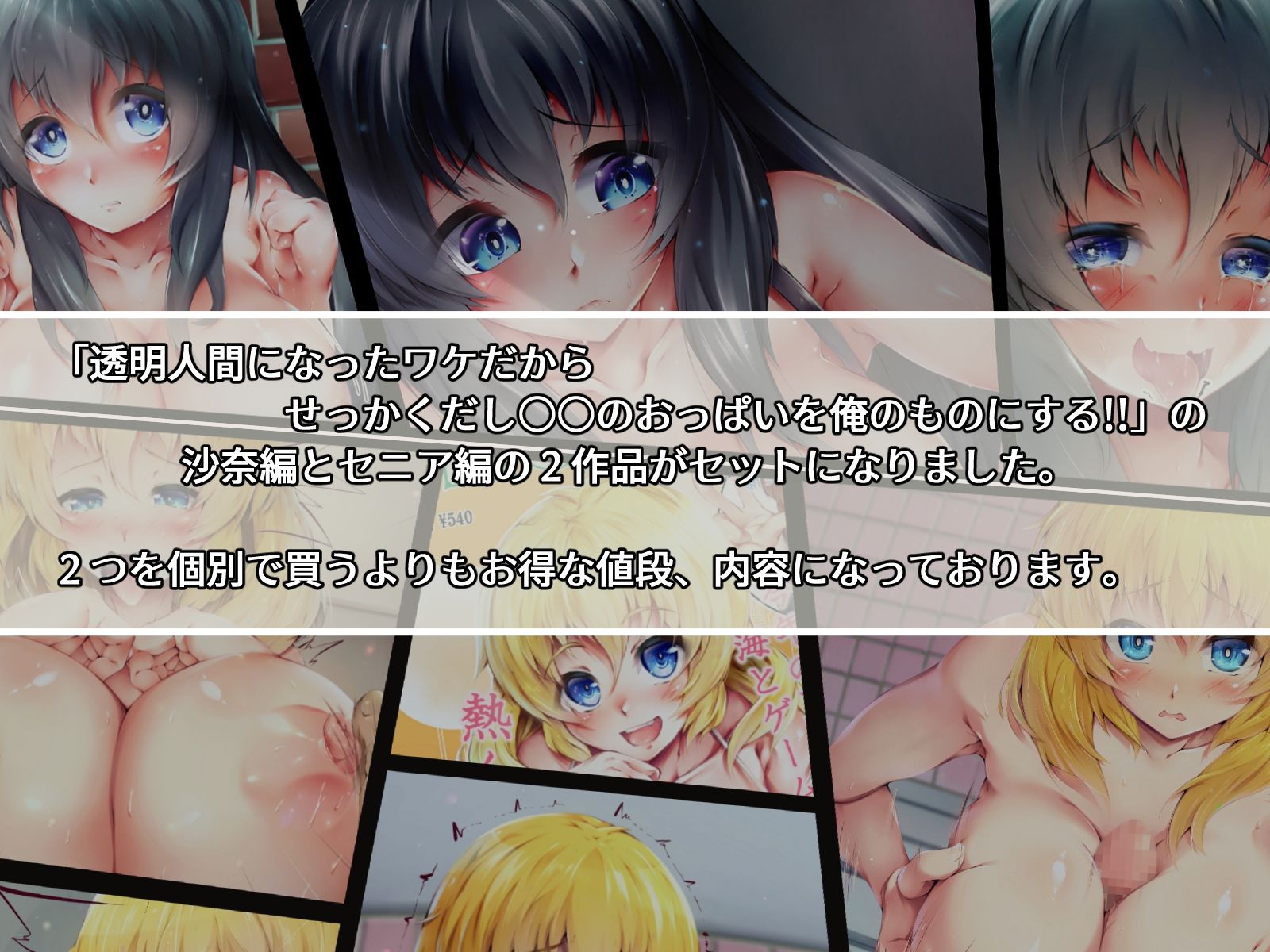 透明人間になったワケだから せっかくだし○○のおっぱいを俺のものにする！！ 沙奈＆セニア Wセット - サンプル画像 1