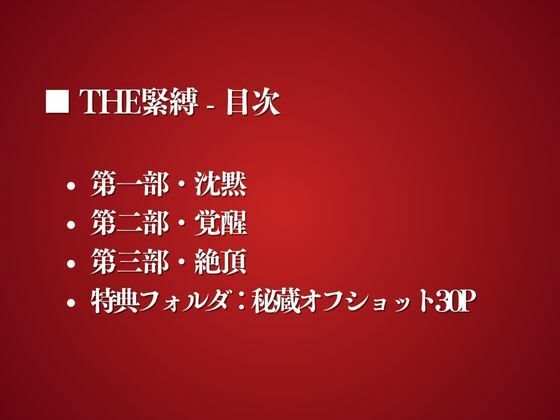 THE緊縛 - サンプル画像 2