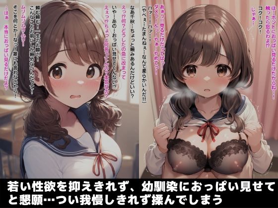 幼馴染におっぱい触らせてもらってそのまま生ハメ中出しで童貞卒業したった - サンプル画像 1