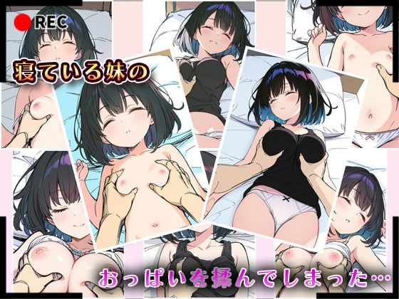 妹成長観察日記〜ただ記録するだけだったはずなのに〜【綾瀬りこ編】 - サンプル画像 4