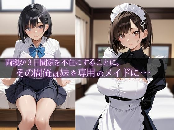 マイホームオナペット〜両親のいない3日間、俺専用メイドにした〜 - サンプル画像 1