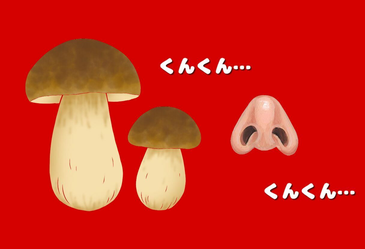 おち○ち○アレルギーのフランちゃん（くしゃみフェチ作品） - サンプル画像 3
