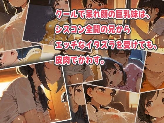 呆れ顔の巨乳妹と溺愛シスコン兄〜イタズラから始まるトロトロに疼く兄妹SEX〜 - サンプル画像 1