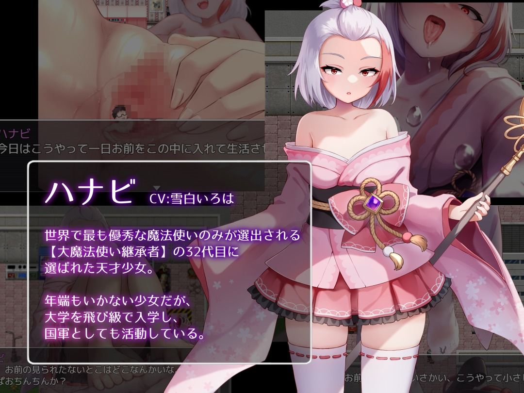 Succubus＆Magic CG集 ハナビ玩具ルート - サンプル画像 6
