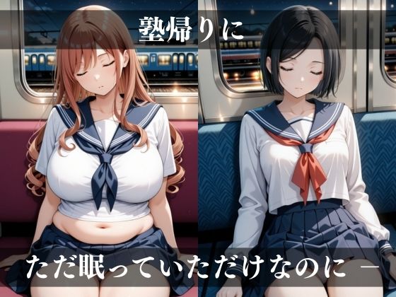 名門私立女子校生最終列車制服狩り【500枚収録】 - サンプル画像 1