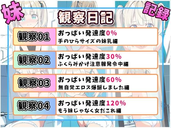 妹成長観察日記〜ただ記録するだけだったはずなのに〜【天野瑠美編】 - サンプル画像 9
