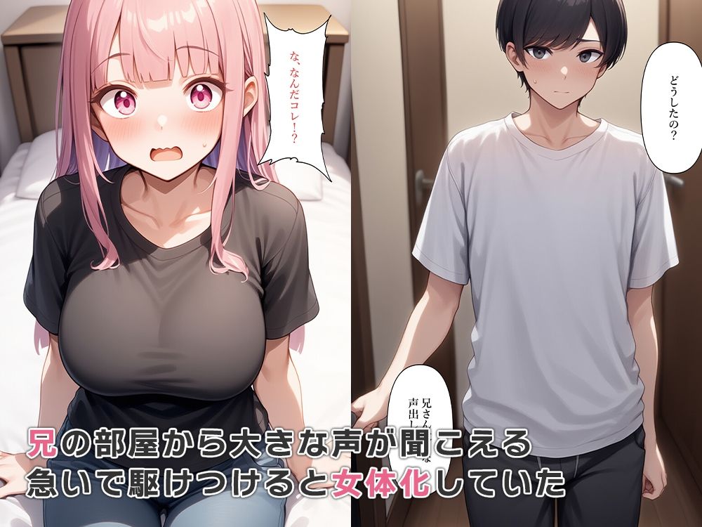 兄女体化して新しい姉ができた - サンプル画像 1