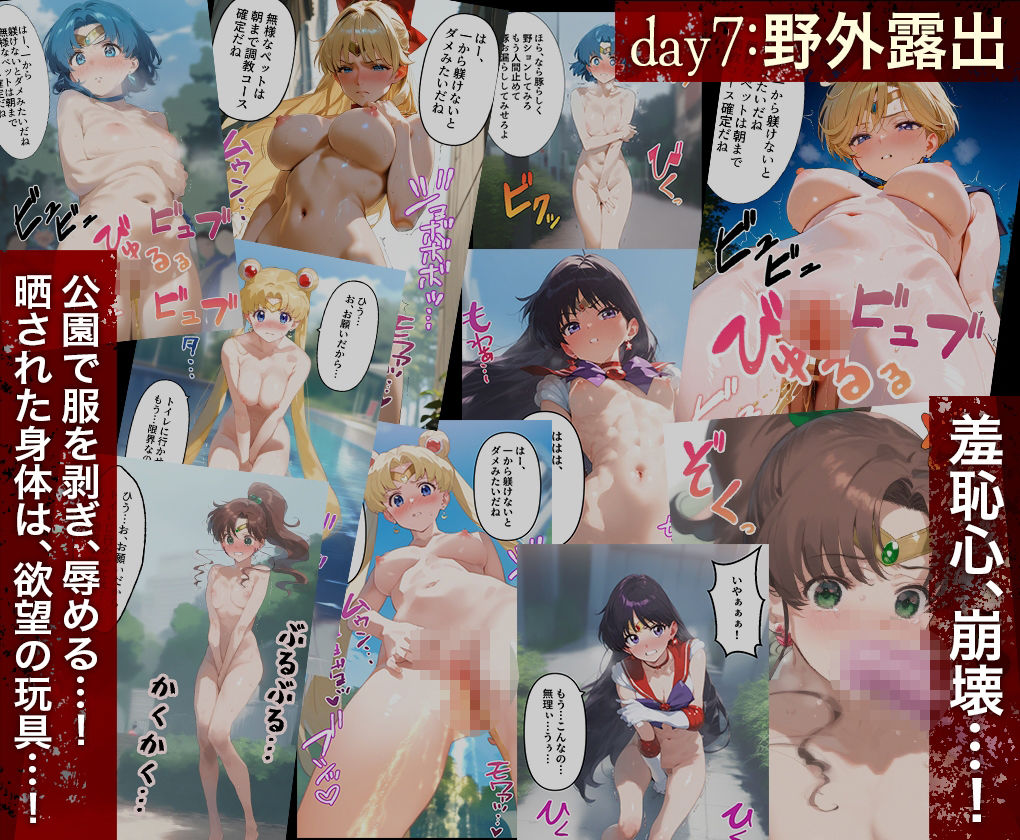 堕チルまでの9days_ セーラー戦士総集編 - サンプル画像 8